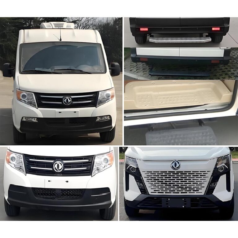 Cadeia de frio das vacinas Veículo personalizado